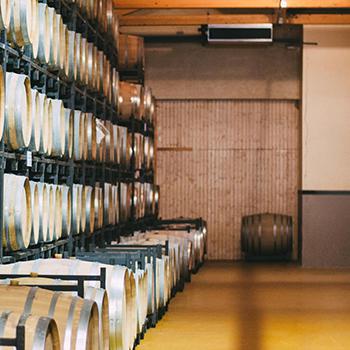 Cantine vitivinicole